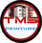 TMS PEINTURE